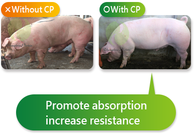 Promote absorption increase resistance
