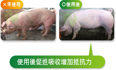 使用後促進吸收增加抵抗力