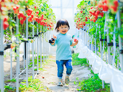 TinyPep 專家中的專家，肽專家
